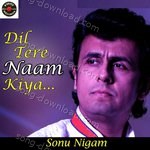 Dil Tere naam Kiya - Reema Nupur Song Download